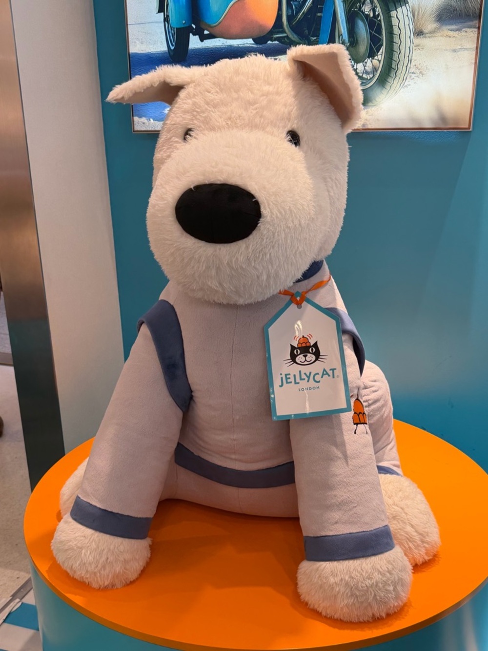 Meet your Posher, Gillian